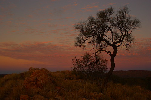 sunset tree clouds rocks northernterritory alicesprings centralaustralia