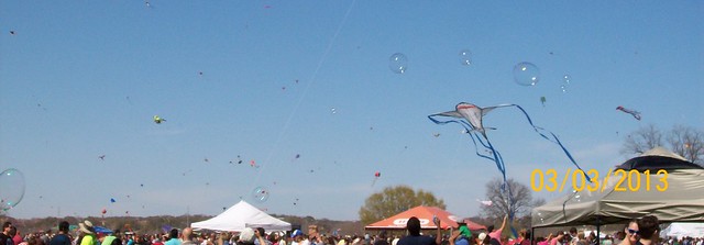 kites and bubbles over zilker park