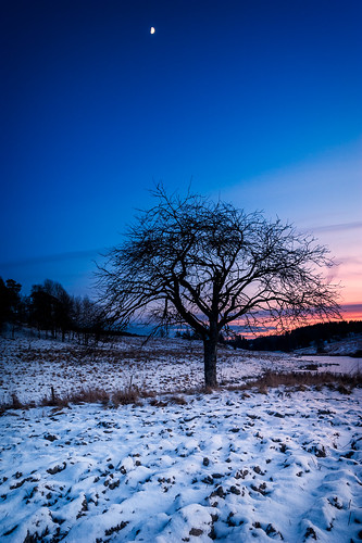 sunset moon snow tree ice field norway østfold sarpsborg holleby bentvelling