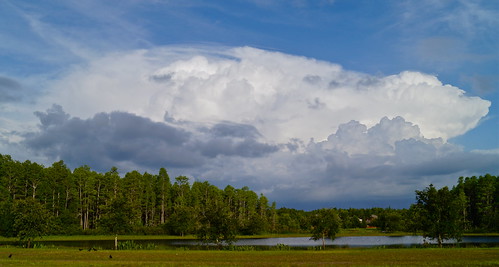 county weather florida o lakes land thunderstorm pasco