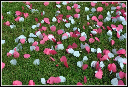 rose mariage blanc confettis herbe coeurs juin2013 eté2103