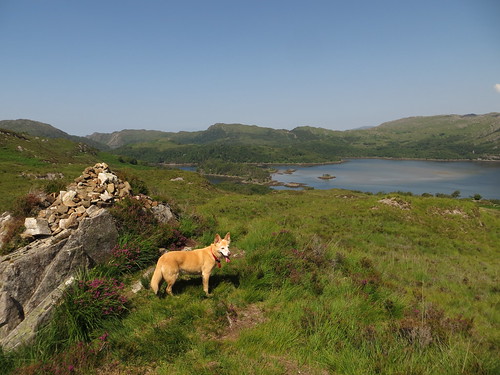 sea dog mountain lake water upload landscape scotland country salt scenic email explore viewpoint tidal cairn roaming notalake