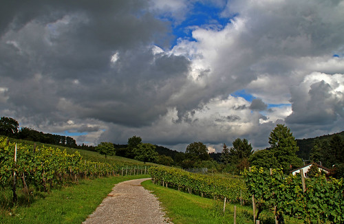 clouds landscape mood wolken landschaft stimmung 2012 reben rafz rebberge