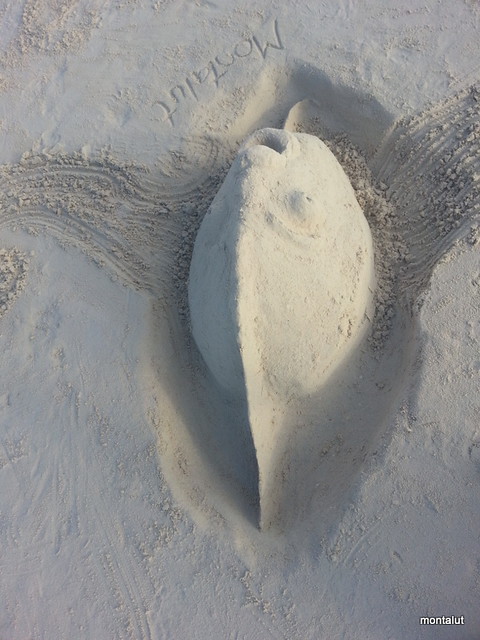 Montalut Sand art Fish 2013 (5)