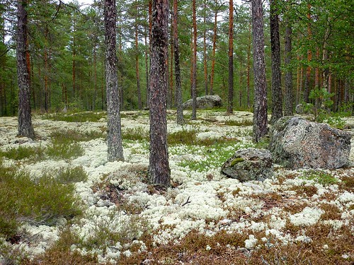 panorama natura unesco scandinavia finlandia