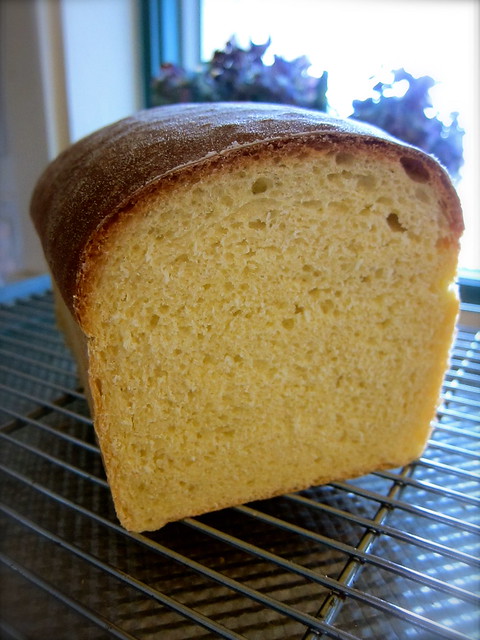Daily Bread: Semolina Loaf, Bialys, and Morning Buns