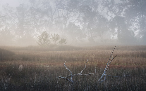 bulltownswamp canon georgia winter color fog landscape light marsh mist morning nature sunrise swamp