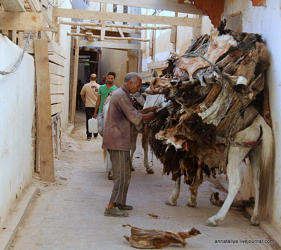 Зачем в этом марокканском городе каждому туристу вручают веточку мяты? IMG_5533-001