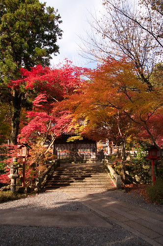 【写真】2012 紅葉 : 鍬山神社/2021-12-10/IMGP5852