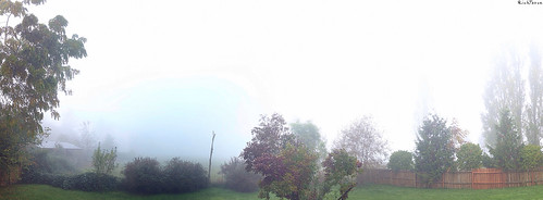 white mist nature weather fog washington rich pacificnorthwest pnw shrouded lynden iphone tatum blogrodent richtatum iphoneography