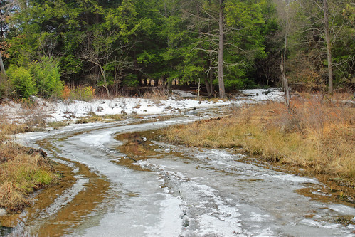 winter snow ice nature creek forest stream hiking pennsylvania meadow creativecommons wetland mudrun hemlocks tsugacanadensis palustrine pennsylvaniawilds easternhemlocks clearfieldcounty parkerdamstatepark palustrineforest