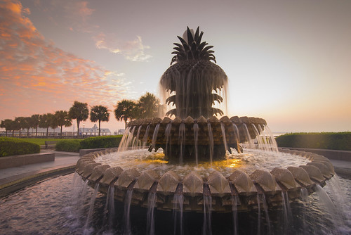 Charleston - Pineapple Fountain