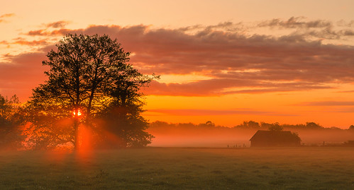 summer mist sunrise dawn day cloudy warwickshire alcester d7000