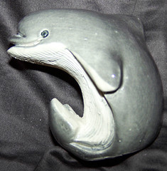 056 Dolphin
