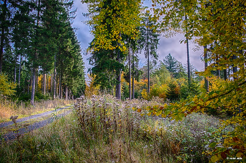 nature germany landscape places meschede sauerland arnsbergerwald fujixe1 fujinonfx1855mm
