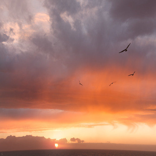 sunset sky italy birds square sicily cloudscape waterscape cameracanon5d2