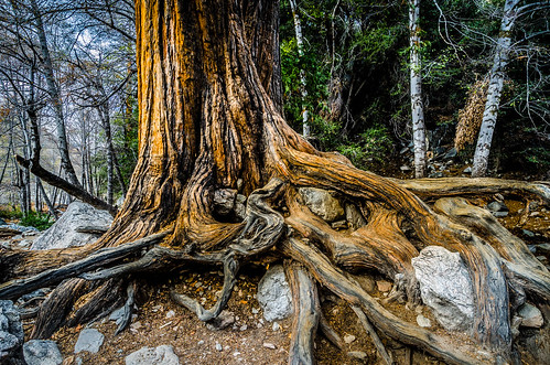 california landscape photography nikon unitedstates sanbernardinocounty forestfalls d7000 photographersontumblr