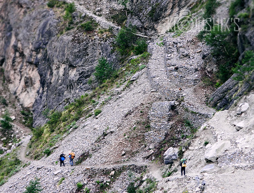 forest trekking trek adventure highaltitude joshimath valleyofflowers uttarakhand baginiriver moderatetrekking baginiglaciar changbangbasecamp nandadevinationalforest dronagirivillage