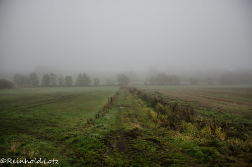 deutschland nebel hessen herbst landschaften feldwege romrod