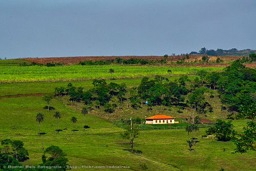 house amigos minasgerais brasil rural landscape countryside casa paisagem campo cavalos equoterapia allbutone darktable todosmenosum