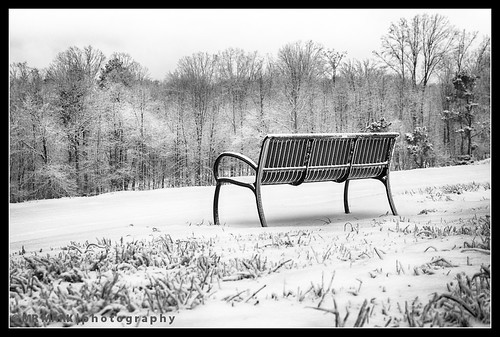 winter snow ice grass bench backyard seat forsyth caney forsythpark forsythcounty southforsyth