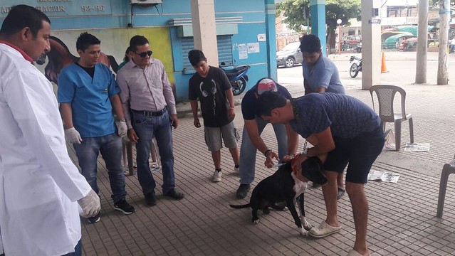 Campaña de vacunación canina en Canuto