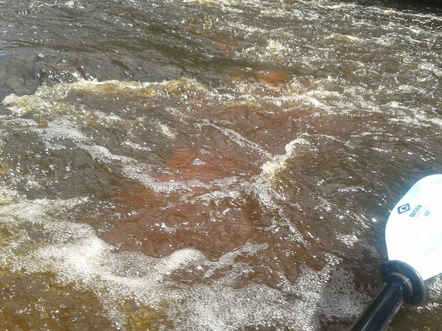 Red bottom, white water, paddle