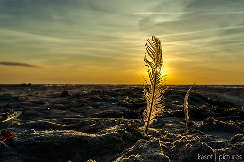 sunset sky beach strand sand warnemünde sonnenuntergang feather rostock feder nex6 kasof