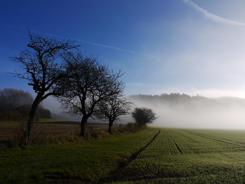 mist misty fog landscape photography nebel landschaft morningmist morgennebel reginahoer