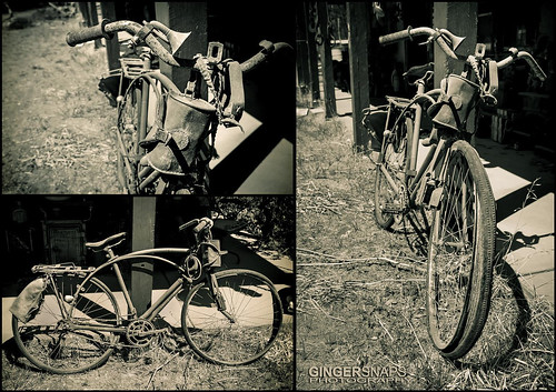 Australian rabbitAustralian rabbit trappers bicycle: circa 1920's