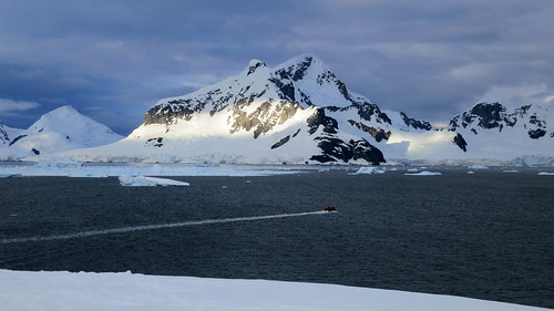 snow cold ice sunrise boat antarctica glacier iceberg zodiac paradisebay leithcove