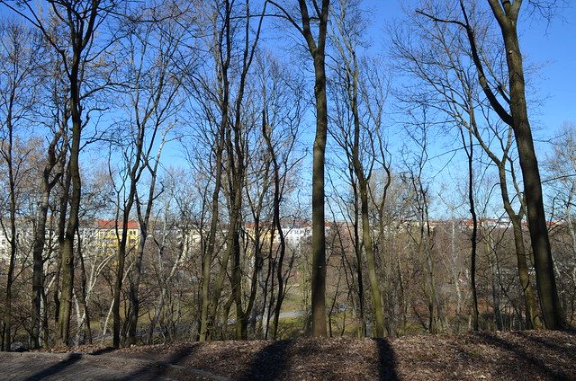 Volkspark Friedrichshain Berlin_city through the park trees