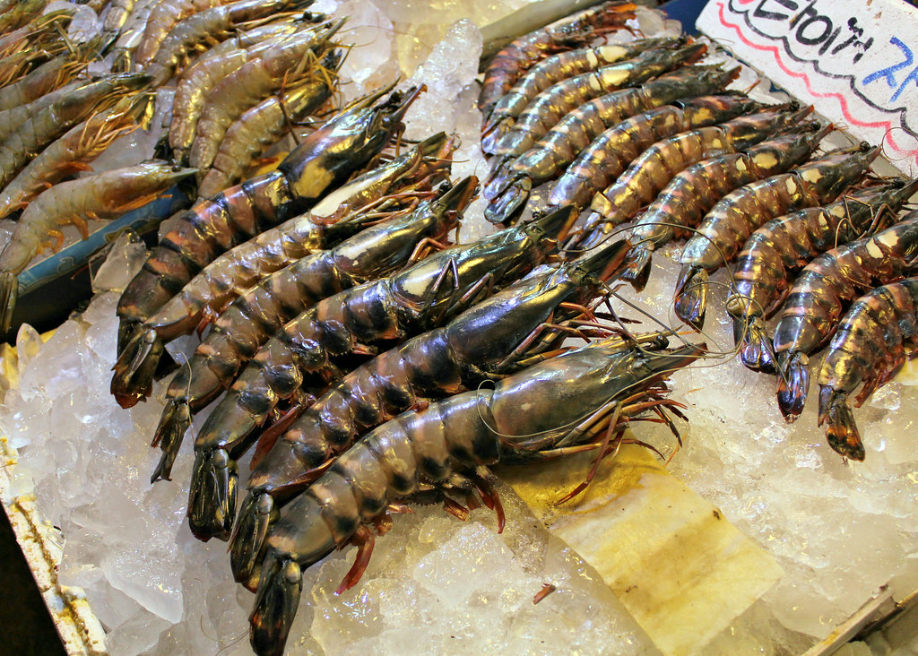 noryangjin-fish-market-fresh-prawns