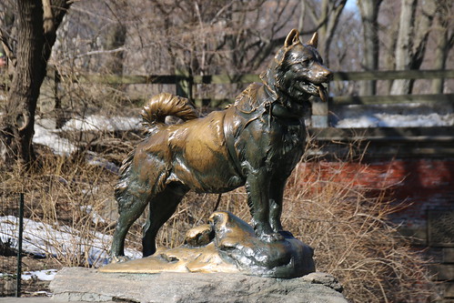 Balto Statue in Central Park (New York City) - February 2017