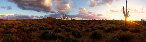 asseenwithnakedeye sunset desert phoenix arizona clouds cactus mountains whitetankmountains