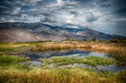 california morning blue sky mountains reflection green nature water grass yellow clouds landscape day cloudy scenic sierranevada easternsierra
