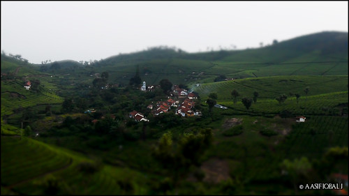 india green beautiful landscape miniature village ooty teaestate thenilgiris simplysuperb landscapedreams nonsuchteaestate