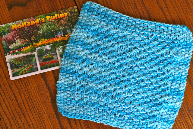may dishcloth swap - received