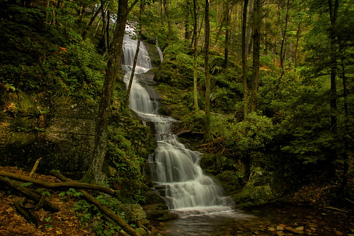 trees summer green nature rain forest landscape flow waterfall newjersey overcast falls ferns buttermilk