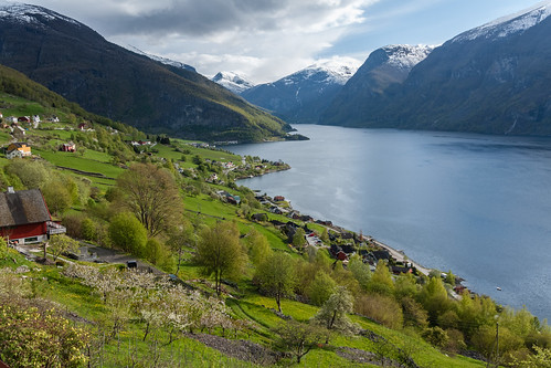 spring norwegen fjord sognogfjordane aurlandsfjord