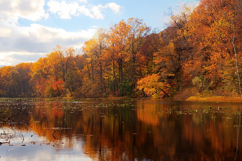 park autumn lake color reflection tree fall newjersey day cloudy foliage reservation watchungreservation lakesurprise