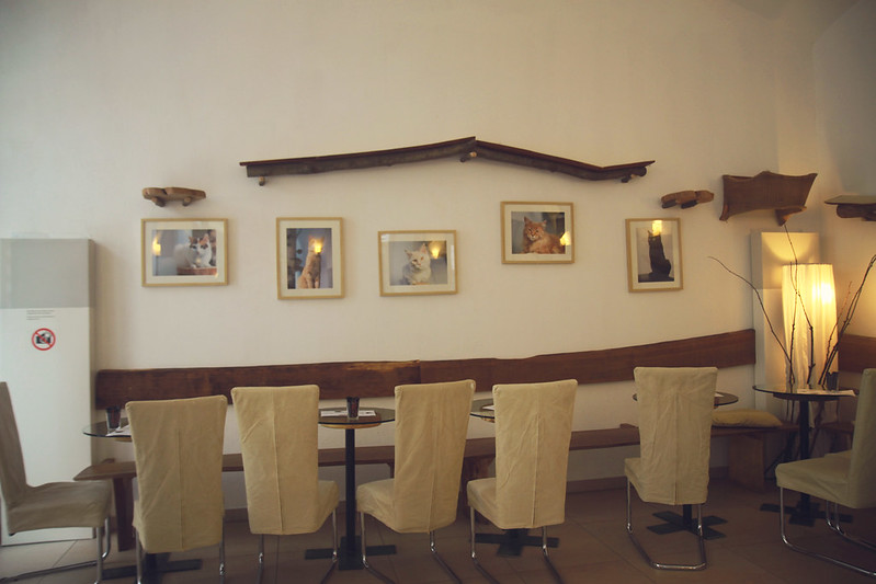 frames, Vienna's Neko Cafe picture frames
