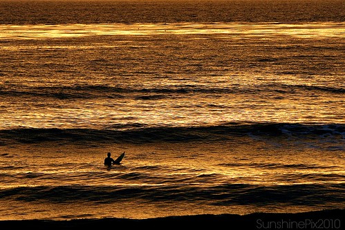 ocean surf surfing surfer sunset