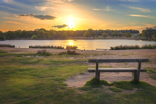 richmond richmondpark sunset penponds lake park blazingsun bench view tranquil outdoors london nationalnaturereserve royalpark