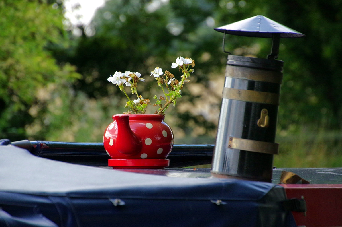 Teapots and chimney pots. Credit donald judge