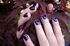 A white person’s hands entwined in the foliage of a reddish-leafed tree. Their fingernails are short and rounded and have been painted a dark purple.
