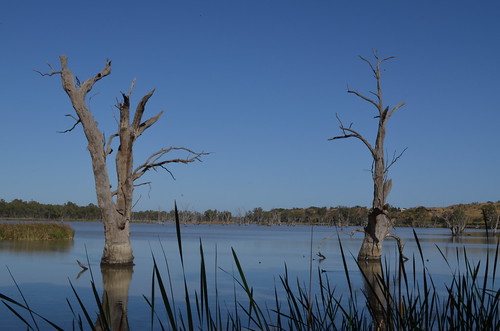 landscapes australia southaustralia murrayriver overlandcorner lochlunagamereserve lochlunaoct2014 lot200morganroad lochlunaoct2013