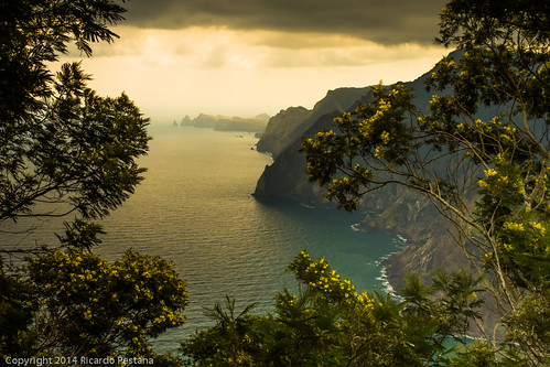 sea mountain seascape landscape island view cliffs coastline madeira