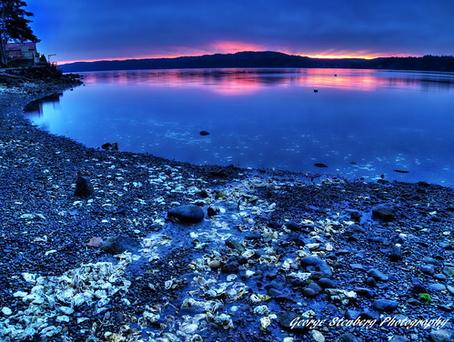 washingtonstate pacificnorthwest hoodcanal dawn sunrise oysters beach seashore water calmwater reflections