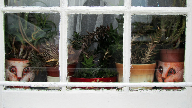Window sills